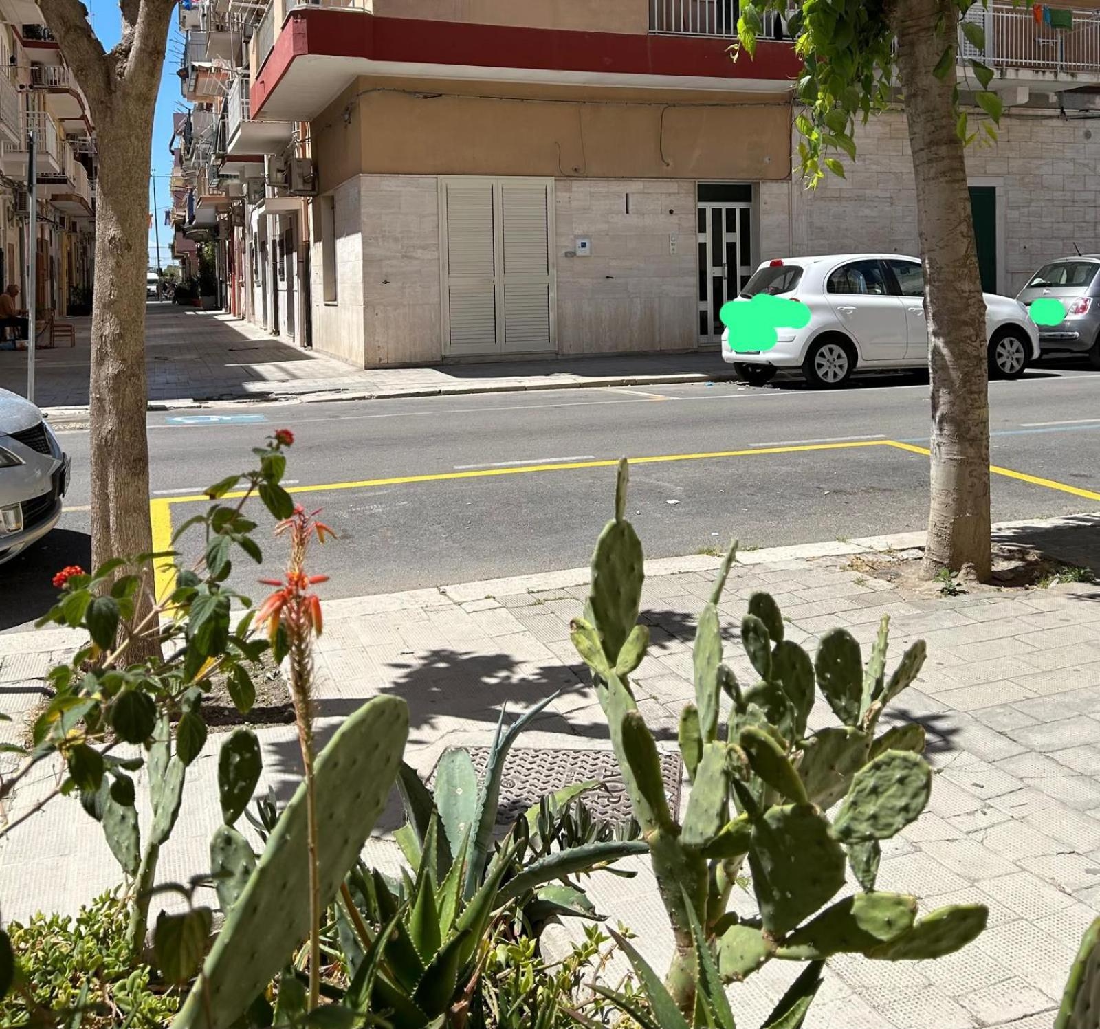 Appartamento Centralissimo Zona Terme Margherita Di Savoia Exterior foto